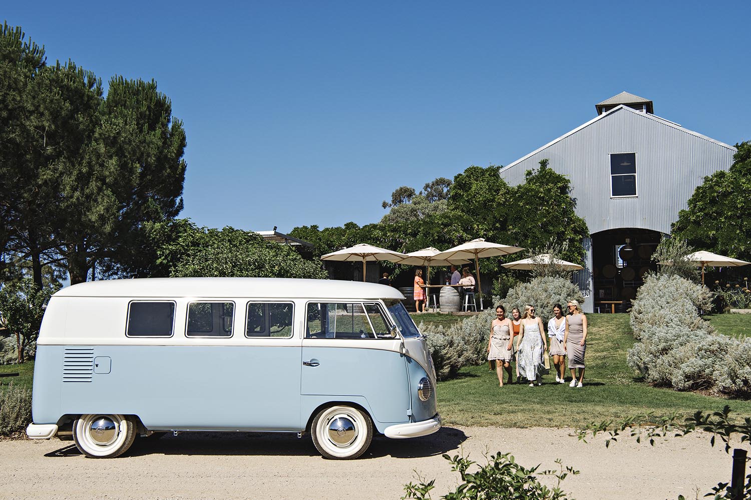 mudgee wine tour kombi groups hens bucks full day lowe wine