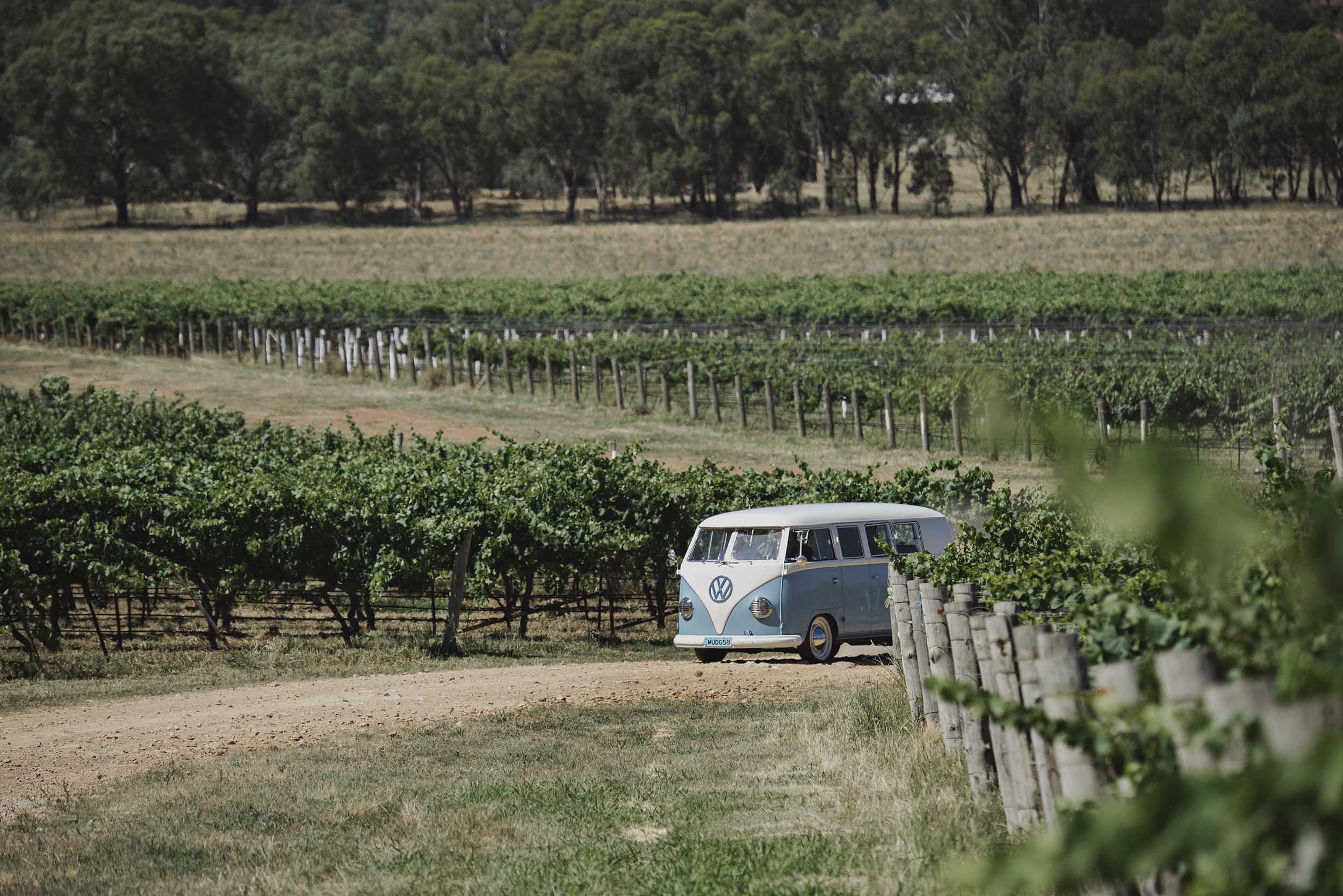 sabrina kombi mudgee split windscreen wedding winery tour